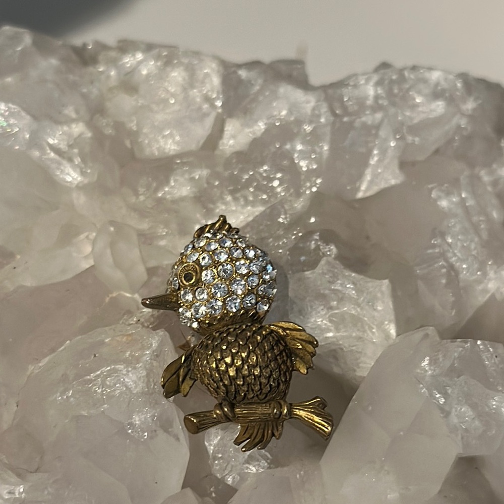 Samson vintage brooch.  Bird on limb with rhinestones